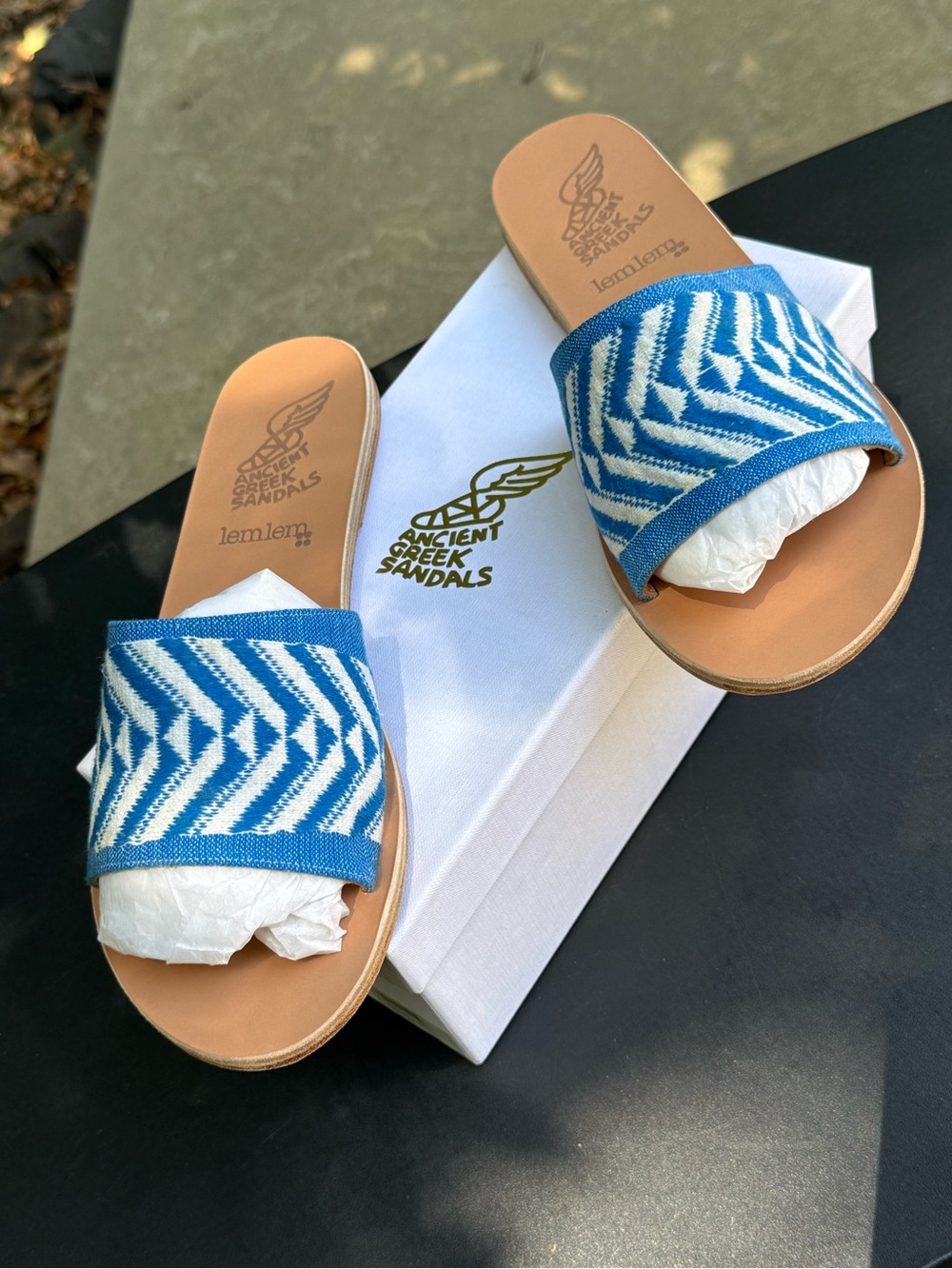 Ancient Greek Sandals Blue and White Chevron Slide Sandals